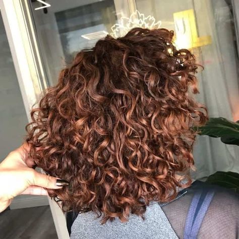 30 Hottest Curly Hair Highlights to Make Heads Turn Hair Highlight Trends, Lavender Grey Hair, Brown Auburn Hair, Curly Hair Highlights, Highlights For Dark Brown Hair, Curly Hair Trends, Auburn Color, Dyed Curly Hair, Highlights Curly Hair