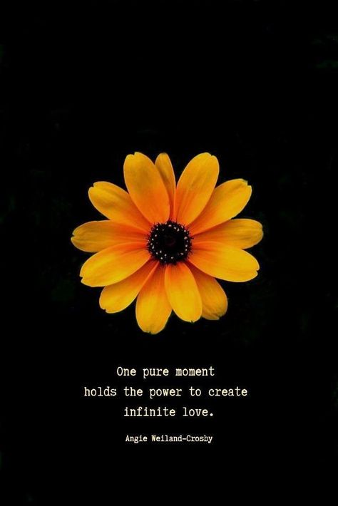 Quotes On Flowers Thoughts, Soul Quotes Love, Flower With Quotes, Pure Soul Quotes, Quotes On Flowers, Yellow Flower Quotes, Best Moments Quotes, Pure Quotes, Flower Quotes Love