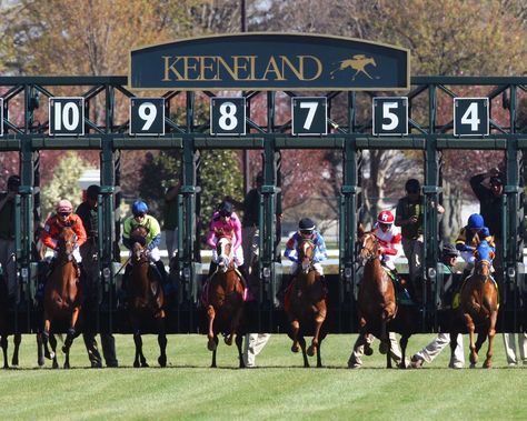 Keeneland Spring Outfit, Day At The Races, Plan Your Day, Lexington Ky, Planning Your Day, Race Day, Spring Outfit, Bourbon, Equestrian