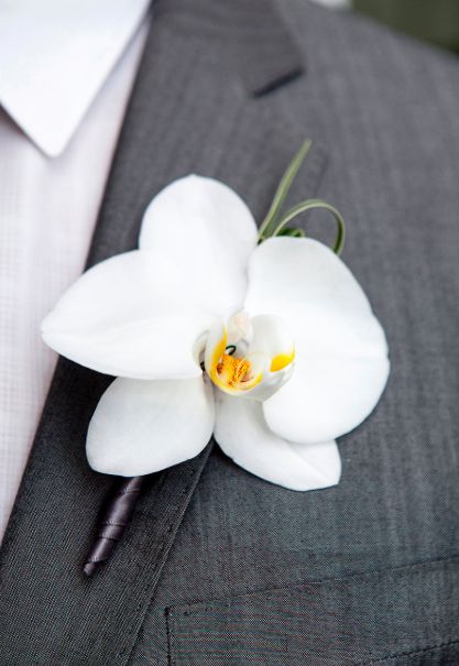 Hawaiian Wedding Themes, White Orchid Bouquet, White Phalaenopsis Orchid, Orchid Boutonniere, Orchid Corsages, Bride Clipart, Simple Wedding Bouquets, Gray Ribbon, Bride's Bouquet