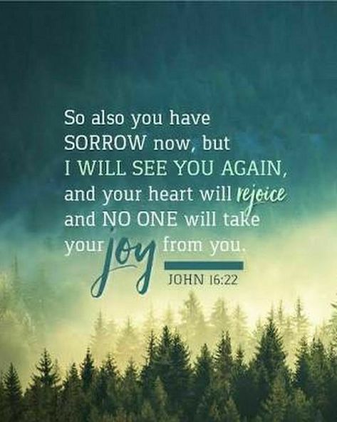 Revive Us Again, John 16 22, Living Photo, Scripture Reading, Wednesday Wisdom, Blessed Life, True Love Quotes, Living Water, See You Again