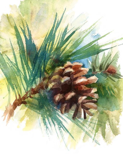 Pine Cone on the Branch Watercolor Illustration Hand Drawn Stock Illustration - Illustration of painted, flora: 82258292 Pine Cone Drawing, Watercolor Doodle, Painted Pinecones, Watercolor Nature, Pine Cone Art, Acrylic Painting Diy, Thanksgiving Art, Woodland Art, Watercolor Subjects