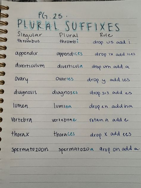 Plural Rules, Medical Terminology, Singular And Plural, Study Guide, Medical