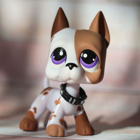 Lps Collie Custom, Lps Costumes, Lps Great Dane, Lps Aesthetic, Lps Dog, Lps Popular, Lps Custom, Lps Customs, Custom Lps