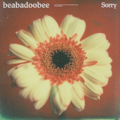 Sorry - Single by beabadoobee | Spotify Halloween Wallpaper Iphone Backgrounds, Cool Album Covers, Lovely Poster, Halloween Wallpaper Iphone, Music Album Covers, Music Aesthetic, Room Posters, Wall Deco, Phone Themes