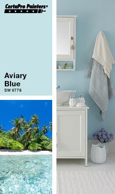 Sherwin Williams Aviary Blue, Aviary Blue Sherwin Williams, Cozy Modern Bathroom, Couch Inspiration, Blue Bathroom Paint, Coral Berry, Bathroom Paint, Primary Suite, Home Painting