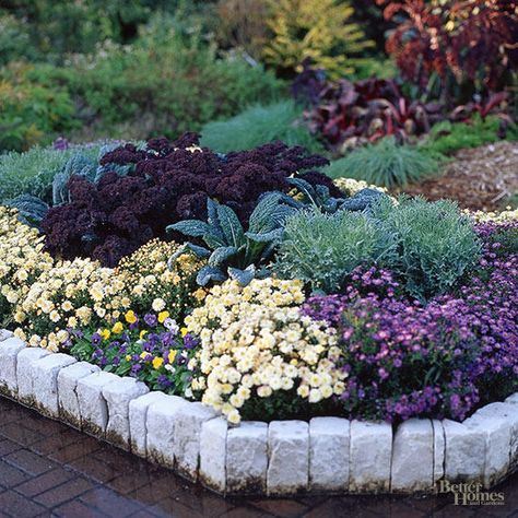 Fall look Fall Landscaping, Landscape Planning, Garden Board, Hydrangea Varieties, Best Perennials, Fall Landscape, Daffodil Bulbs, Garden Solutions, Sloped Garden