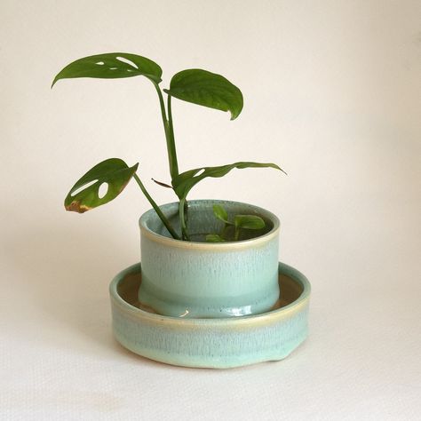 Small Ceramic Planter, 2.5 X 2.5 handmade Ceramic, Wheel Thrown, 1 Drainage Hole, Attached Base Plate, Bottom Watering, 12 Colors - Etsy Cute Ceramic Planters, Ceramic Plant Pots Diy, Pottery Wheel Planter, Flower Pots Ceramic, Small Wheel Thrown Pottery, Ceramic Watering Pot, Ceramic Plate Decoration, Handmade Plant Pot, Pottery Planters Handmade