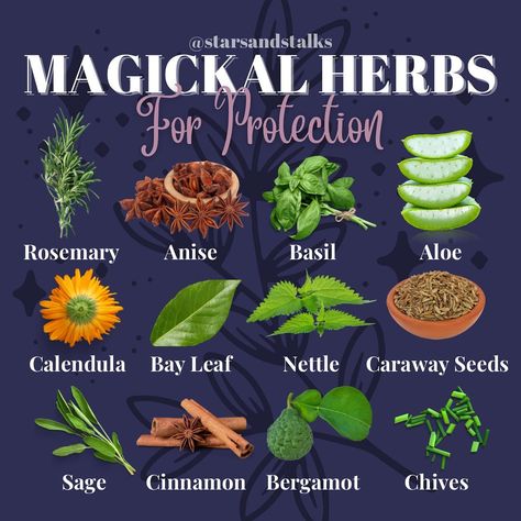 Hedgewitch/Moonchild 🌿 on Instagram: “🌿 P R O T E C T I O N • H E R B S 🌿 Just a list of a few common herbs & spices that work to aid protection. Usually herbs can be…” Protection Herbs, Magical Herbs Witchcraft, Herbs For Protection, Herbs List, Herb Candles, Magickal Herbs, Witch Herbs, House Smell Good, Witch Garden