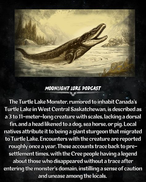 The Turtle Lake Monster is an astonishing Lake cryptid hailing from Saskatchewan, Canada. #cryptid #turtlelake #SeaMonster #cryptozoology #turtlelakemonster #weird Lake Creature, Lore Podcast, Cryptid Core, Lake Monster, Dnd Creatures, Turtle Lake, Lake Monsters, Utah Lakes, Mythical Monsters