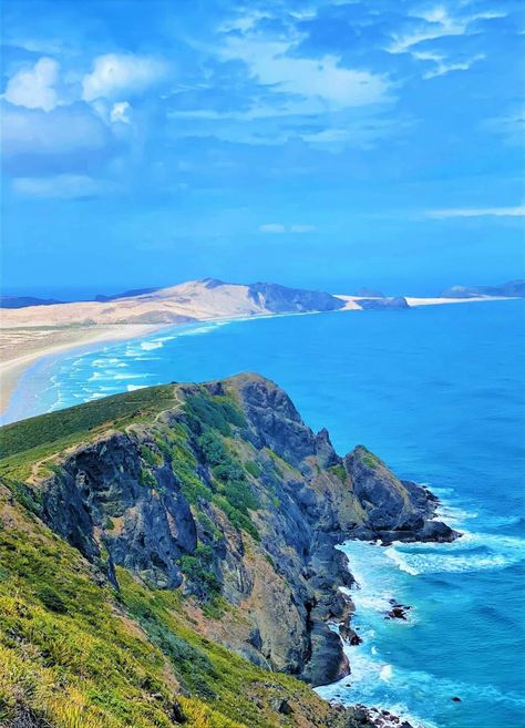 Cape Reinga, New Zealand Cape Reinga, Exotic Fruit, New Zealand, Cape, Water, Art