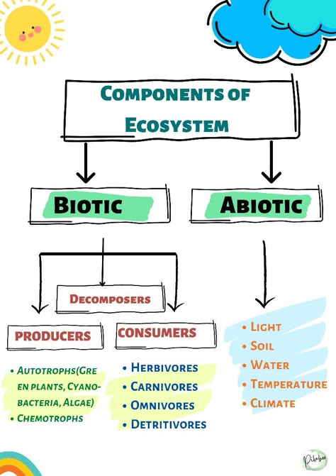 Living Organisms Science, Ecosystem Notes, Biosphere Ecosystem, Ecosystem Poster, Teaching Ecosystems, Biotic And Abiotic Factors, Ecosystem Project, Pond Ecosystem, Biotic And Abiotic