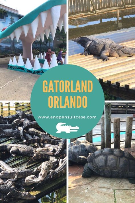 Gatorland Orlando Florida, Gatorland Orlando, Open Suitcase, Orlando Florida Vacation, Orlando Trip, Florida Theme Parks, Legoland Florida, Travel Florida, Georgia Coast