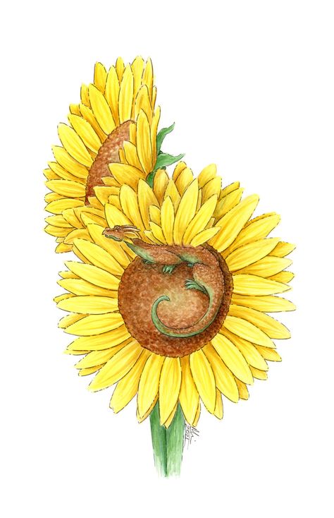 Dragon And Sunflower Tattoo, Flower Dragon, Sunflower Images, Here Be Dragons, Ink Artwork, Sunflower Art, Annual Flowers, Card And Envelope, Sunflower Tattoo