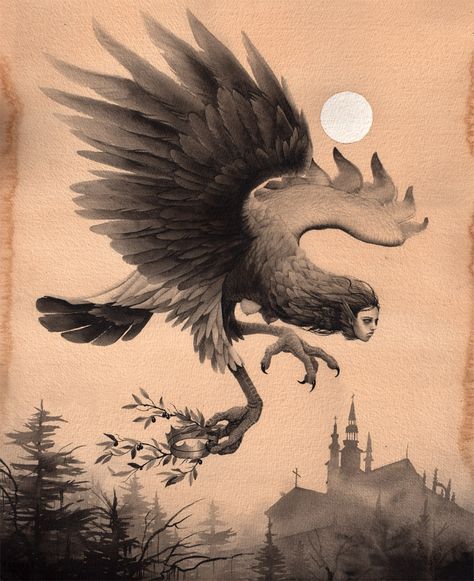 Навьи? Harpy Monster Art, Harpies Tattoo, Harpy Mythology Art, Harpy Concept Art, Harpy Anatomy, Harpies Art, Harpy Creature, Harpies Mythology, Chimera Aesthetic