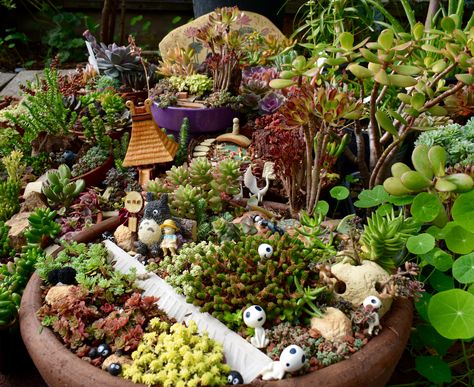 Studio Ghibli theme succulent miniature garden Ghibli Garden Ideas, Studio Ghibli Garden Ideas, Studio Ghibli Garden, Ghibli Garden, Studio Ghibli Theme, Studio Ghibli Diy, Ghibli House, Botanical Party, Fairy Garden Pots