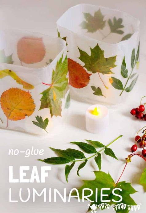 Leaf Luminaries, Luminaries Diy, Cheap Fall Crafts For Kids, Luminary Diy, Lantern Crafts, Leaf Lantern, Diy Leaf, Autumn Leaves Craft, Leaf Projects