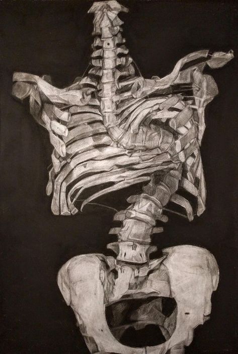 Lex Dakota, Decay Art, Kunstjournal Inspiration, Human Skeleton, Painting Inspo, Arte Inspo, Poses References, A Level Art, Ap Art