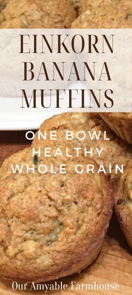 Thm Banana Muffins, Einkorn Banana Muffins, Recipe Banana Muffins, Whole Grain Muffins, Grain Muffins, Vintage Skills, Modern Homemaking, Pantry Basics, Ancient Grains Recipes