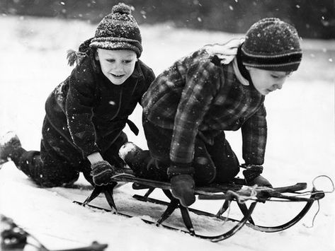 Sledding Down a Hill Cold Play, Luge, Lodge Decor, Winter Wonder, Winter Fun, Skis, 인물 사진, Baby Cold, Great Memories