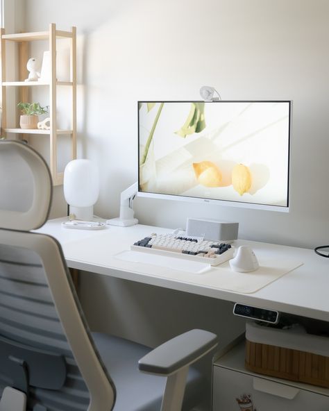 sunday desk setup situation 🍋 (plant help request ↓) i really want more real greenery in my desk space but it’s been a hard time as a plant mom as i lost a brave soldier a few days ago after coming back from my trip 🥲 my other plants are still alive and well (i hope they stay that way) but it’s so discouraging since i never had a green thumb to begin with. i found that their top soil never dries well enough (i don’t overwater and wait til the soil dries up well + drainage holes seem to be ... Green Desk Setup, Window Desk, Product Render, Corporate Life, Danish Pastel Aesthetic, Cozy Desk, Room Aesthetics, Plant Help, Desk Goals