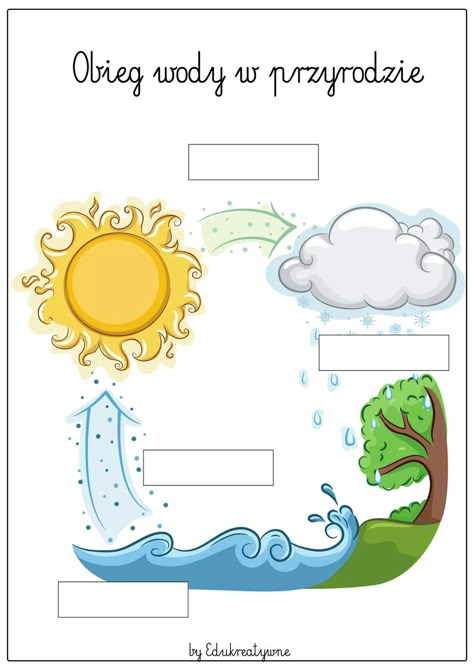 Science Worksheets For Kindergarten, Water Cycle For Kids, Kindergarten Weather, Vetenskapliga Experiment, Summer School Crafts, Weather Activities For Kids, Body Preschool, Kindergarten Portfolio, Preschool Schedule