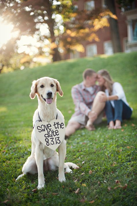 Dog + save the date = Pinterest gold. Source: Etsy user yourethatgirldesigns Date Photo, Save The Date Photos, Foto Tips, Wedding Engagement Photos, Popular Wedding, Wedding Pics, Here Comes The Bride, Two People, Wedding Saving