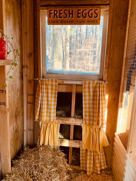 Chicken Coop Curtains, Chicken Coop Interior, Chicken Barn, Coop Design, Farm Eggs, Backyard Chicken Farming, Clever Diy, Chicken Farm, Fresh Eggs