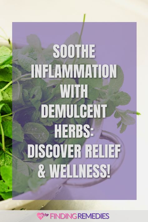 Soothe Inflammation with Demulcent Herbs: Discover Relief & Wellness! Demulcent Herbs, Marshmallow Root Tea, Slippery Elm, Traditional Medicine, Acid Reflux, A Healthy Lifestyle, Healing Process, Natural Wellness, Herbal Medicine