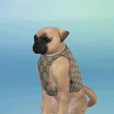 * PATREON EARLY ACCESS * PUBLIC RELEASES ON OUR OFFICIAL WEBSITE (NOT PATREON) Sims 4 Dog, The Sims 4 Packs, Luxury Dog, Sims 4 Cc, Sims 4 Mods, The Sims 4, Dog Harness, The Sims, Dog Clothes