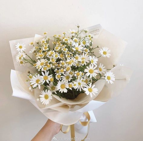 Small Daisy Bouquet, White Daisy Bouquet, Aesthetic Clips, Daisy Bouquet, Bouquet Gift, Flowers Bouquet Gift, White Daisy, Pretty Flowers, Flowers Bouquet