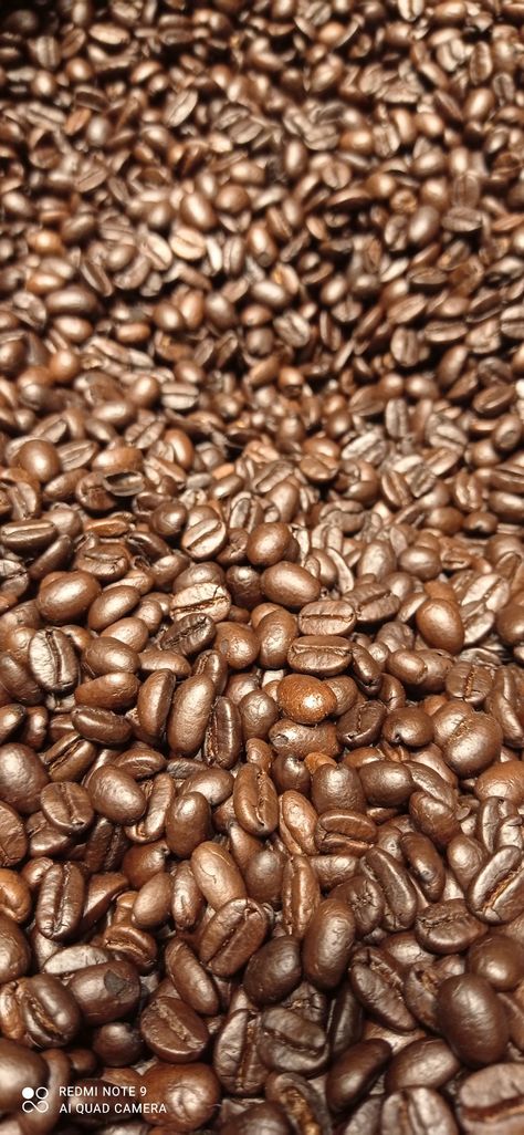 Starbucks coffee beans Starbucks Coffee Beans, Starbucks Coffee, Coffee Beans, Coffee, Pins