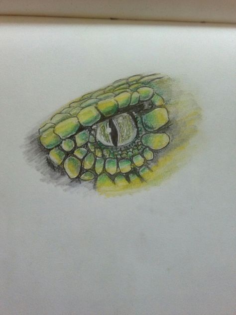 Snakes eye drawing 🐍 Snake Eye Painting, Reptile Eye Drawing, Snake Eyes Drawing, Snake Eye Drawing, Drawing Snake, Eye Step By Step, Painting Snake, Snake Sketch, Reptile Eye