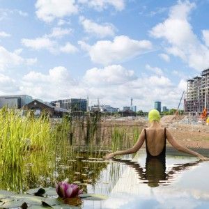 Freshwater bathing pond to open  in London's King's Cross Bio Pool, Innovation Architecture, Natural Swimming Ponds, Swimming Pond, Natural Swimming Pools, Floating Plants, Natural Swimming Pool, Pool Filters, Natural Pool