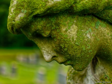 Moss Covered, Cemetery Art, Moss Garden, Abandoned Buildings, Garden Ornaments, Garden Statues, Pics Art, Lush Green, Green Aesthetic