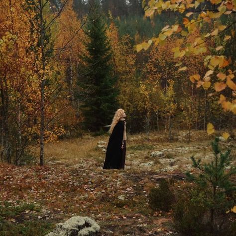 Forest Witch Aesthetic, Vsco Nature, Autumn Witch, Love Dark, Dark Autumn, Dark Cottagecore, Dark Clouds, Season Of The Witch, Witch Aesthetic