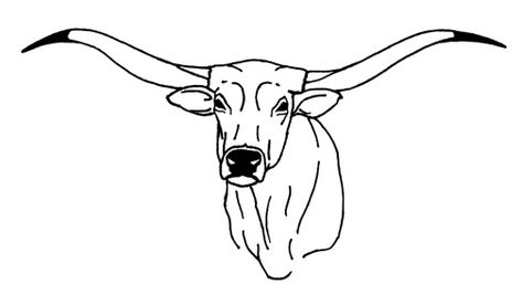 Longhorn Steer Longhorn Bicep Tattoo, Longhorn Line Drawing, Steer Head Drawing, Long Horn Cow Drawing, How To Draw A Longhorn, Longhorn Drawing Easy, Longhorn Doodle, Western Outline Drawings, Western Simple Drawings