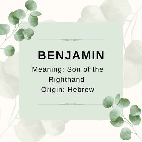 Baby Boy Name: Benjamin. Meaning: Son of the Righthand. Origin: Hebrew. Nicknames: Ben, Benj, Benji, Benny. www.pinterest.com/designsbyleahc Benjamin Name, Bible Baby Names, Children Names, Baby Boy Name, Rare Baby Names, Hebrew Names, Baby Name List, Boy Name