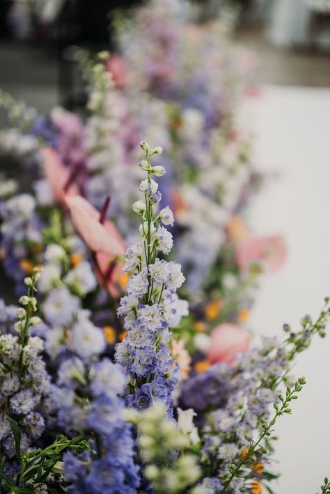 A Vibrant and Lush Summer Wedding at French’s Point — Pinch Me Planning - Maine and New England Wedding Planner New England Summer Wedding, Maine Summer Wedding, Dense Fog, New England Wedding, July Wedding, Pinch Me, Maine Wedding, England Wedding, Lush Garden