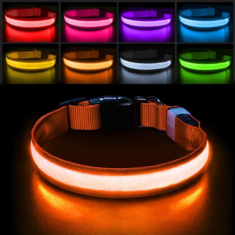 Amazon.com : PcEoTllar Light up Dog Collar for Night Walking - LED Dog Collar Light Rechargeable Color Changing, Glow in The Dark Dog Collars Waterproof Glowing Dog Collars for Large Small Medium Dogs : Pet Supplies Light Up Dog Collar, Bright Night, Led Dog Collar, Up Dog, Dog Safety, Dog Lead, Medium Dogs, Dog Collars, Shih Tzu