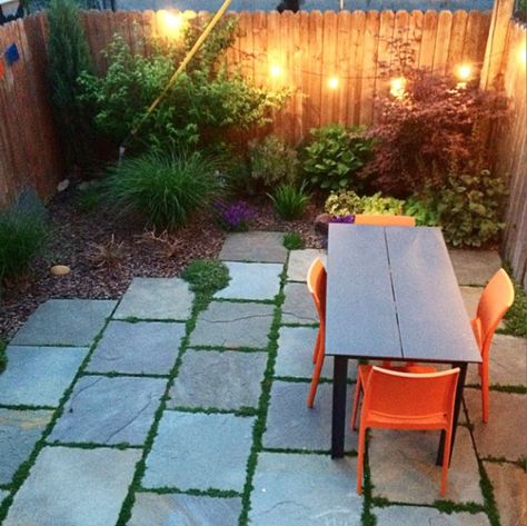 Brooklyn Backyard, Affordable Backyard Ideas, Large Backyard Landscaping, Low Maintenance Landscaping, Large Backyard, Backyard Inspo, Backyard Projects, Courtyard Garden, Contemporary Landscape