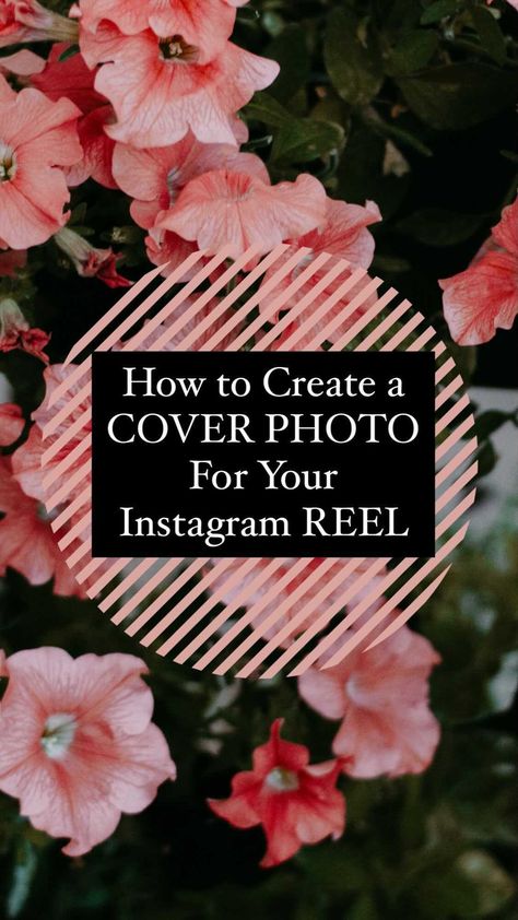 Instagram Reel Cover Photo, Ig Reels Cover, Instagram Reels Cover Photo, Reel Covers Instagram Aesthetic, Reels Cover Photo, Reel Covers Instagram, Instagram Reels Cover, Ig Grid, Instagram Reel Cover