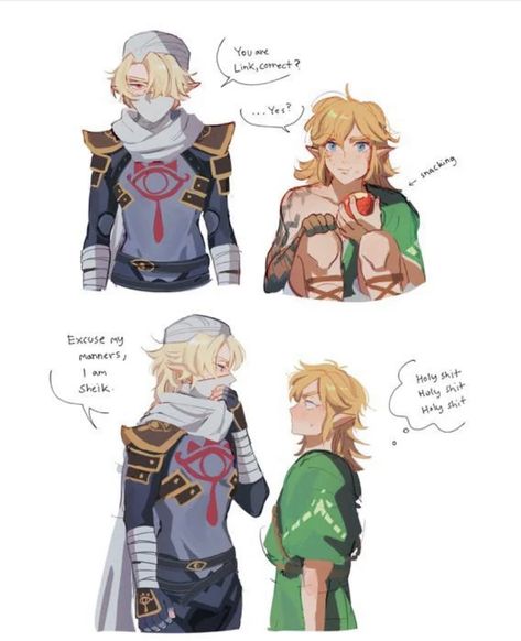 Legend Of Zelda Sheik, Linked Universe, Hyrule Castle, Legend Of Zelda Characters, Botw Zelda, Legend Of Zelda Memes, Zelda Funny, Tears Of The Kingdom, Hyrule Warriors