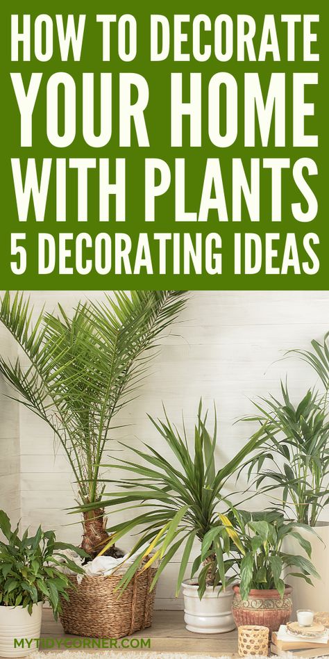 how to decorate with plants indoors living room How To Group Plants Together, Botanical House Interiors, Plants Arrangement Indoor, Indoor Plant Grouping Ideas, Decorate Home With Plants, Silk Plants Living Room Home Decor, Plants In The Living Room Ideas, House Plants Indoor Decor Living Room, Plant Decor Ideas Indoor