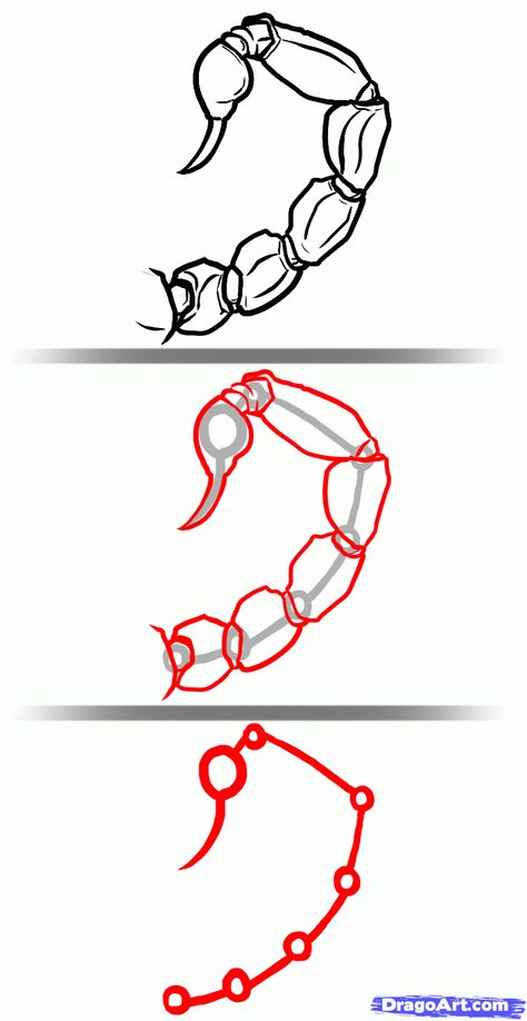 how-to-draw-scorpions-step-3_1_000000127385_5.gif 800×1,550 pixels Bug Cartoon, Cute Simple Tattoos, Arte Grunge, Phoenix Art, Drawing Examples, Free Stencils, Tattoo Flash Art, Flash Art, Animal Sketches