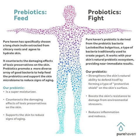 Pro Biotics, Natural Prebiotics, Probiotic Skin Care, Prebiotic Foods, Nontoxic Skincare, Probiotic Benefits, Natural Probiotics, Toxic Skincare, Prebiotics And Probiotics