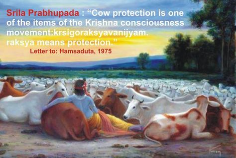 cow protection is important part of Krishna's program Sriramanavami Photos, Krishna Avatar, Pichwai Paintings, Baby Krishna, Radha Krishna Wallpaper, Krishna Radha Painting, Radha Krishna Pictures, Radha Krishna Love, Krishna Radha