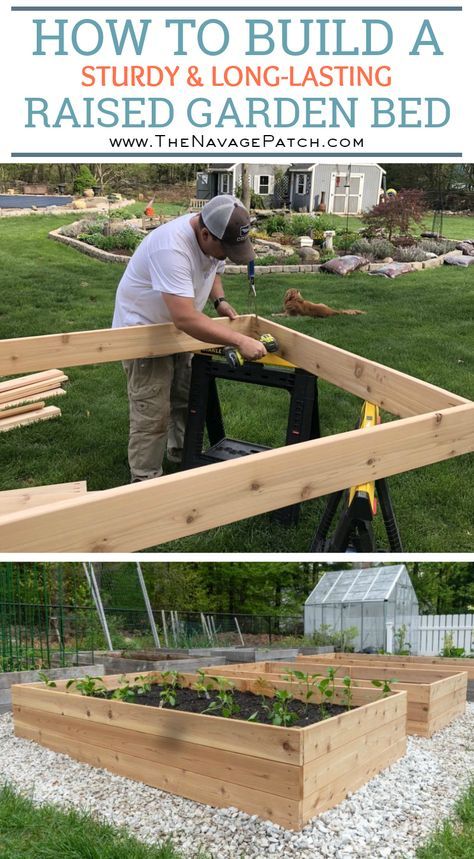 DIY Raised Garden Beds| How to build raised garden beds that will last for years | An easy step-by-step guide for cedar raised garden beds |  #TheNavagePatch #DIY #Garden #HowTo #woodworking Beautiful Raised Garden Beds, Diy Raised Garden Beds, Build A Garden, Diy Container Gardening, Funny Vine, Raised Garden Bed Plans, Cedar Raised Garden Beds, Garden Boxes Raised, Building Raised Garden Beds