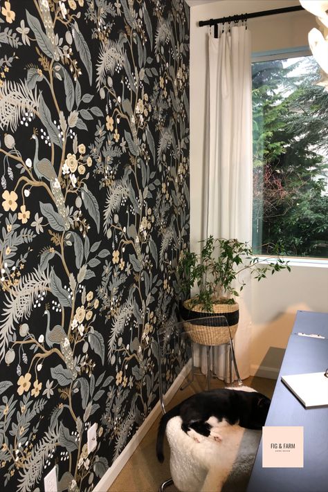 The photo is taken in a home office. You see an accent wall with black wallpaper that is covered in a print with sage green and champagne colors. The print is of greenery, flowers and peacocks. The back wall of the office you see the opening to a window looking outside to a lush garden. The window is framed with white floor length curtains and hung with a black curtain rod and rings. There is a black desk in the room with a lucite chair. On top of the chair is a fur rug and a black cat. Had Wallpaper, Try Wallpaper, Which Wallpaper, Pre Pasted Wallpaper, It Wallpaper, Yay Or Nay, How To Install Wallpaper, The Fence, Prepasted Wallpaper