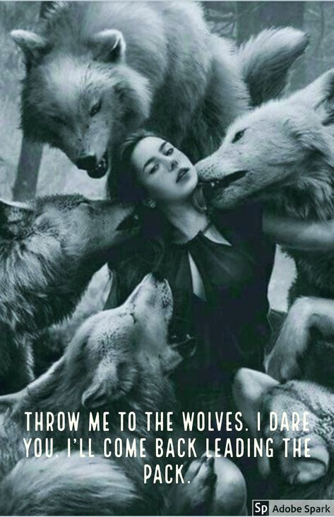 Throw me to the wolves. I Dare you. I'll come back leading the pack Wolves And Women, Fantasy Wolf, Wolf Quotes, Wolf Spirit Animal, Werewolf Art, She Wolf, Wolf Love, Wolf Pictures, Wolf Spirit